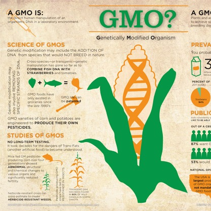 What are GMO's?